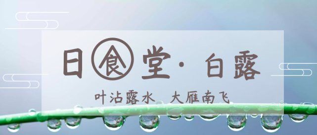 北海葵龍魚是什么魚種圖片