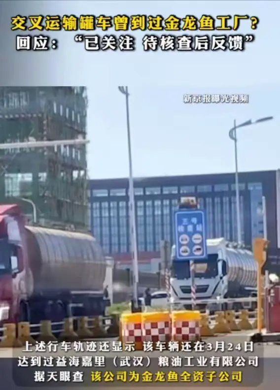 金龍魚誰家的好