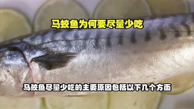 馬鮫魚盡量少吃的原因