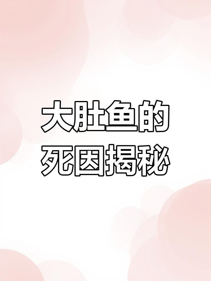 母魚肚子很大要警惕四種病