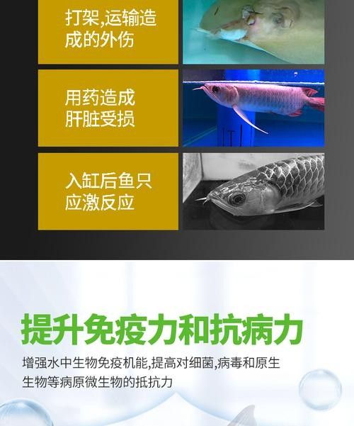 龍魚吃維生素哪個品牌好