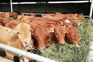 銀龍魚水質檢測頻率：銀龍魚水質檢測頻率應為每周至少一次以確保水質的各項指標 銀龍魚水質檢測頻率：銀龍魚水質檢測頻率應為每周至少一次以確保水質的各項指標 龍魚百科 第2張