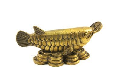 龍魚點金是什么樣子的：龍魚點金是什么樣子的詳情
