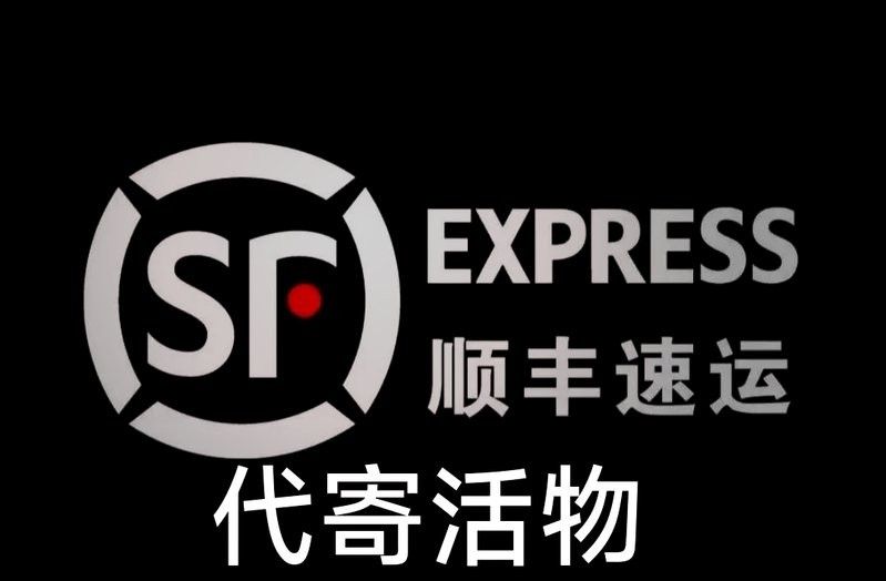 龍魚郵寄安全嗎 龍魚郵寄安全嗎 龍魚百科 第5張
