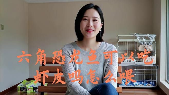 恐龍魚能不能吃蝦皮和蝦皮