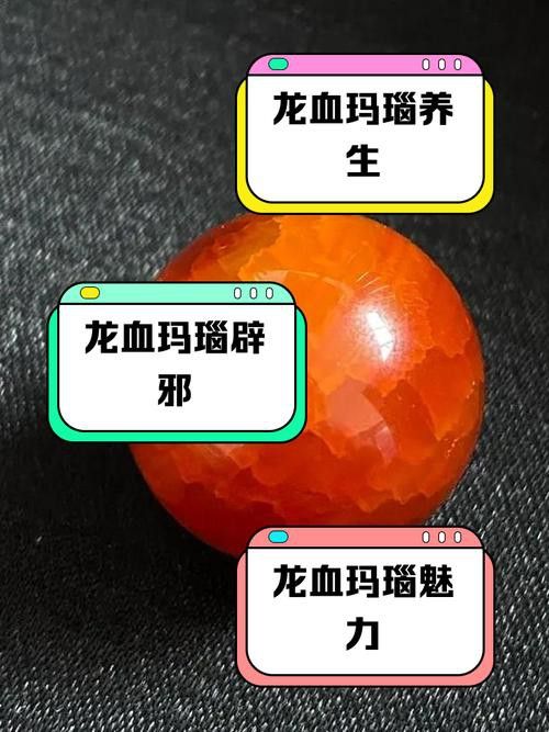 如何鑒別赤血金龍的真偽？