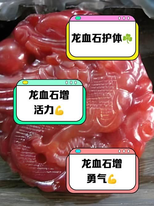 如何鑒別赤血金龍的真偽？