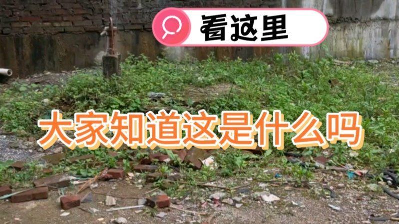 老式水泵圖片大全