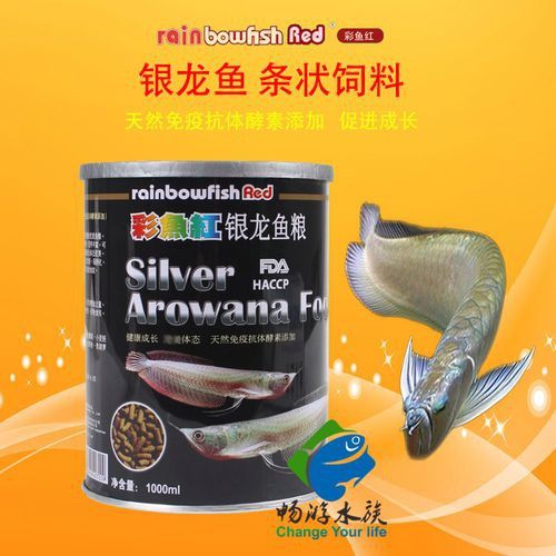 紅銀龍魚圖片大全大圖欣賞