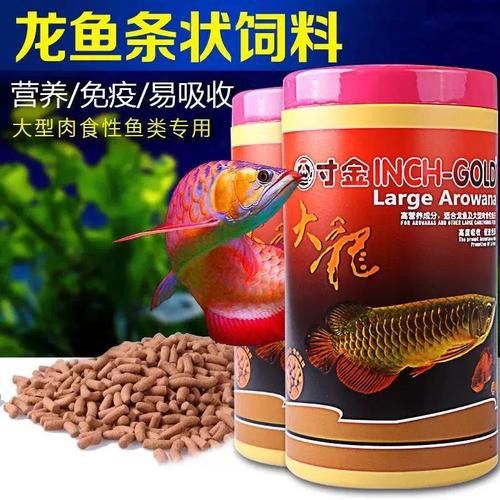 紅銀龍魚圖片大全大圖欣賞