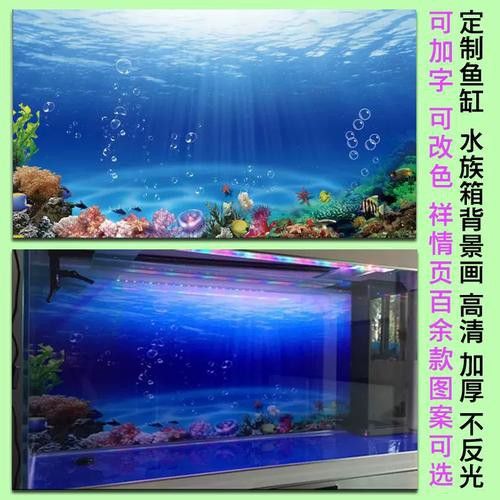 東海龍宮御龍魚缸介紹圖