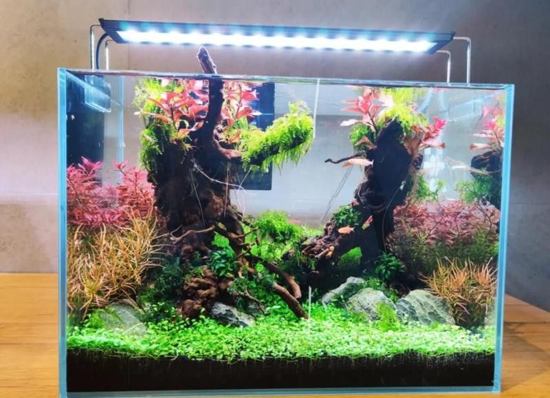 東海龍宮御龍魚缸介紹圖