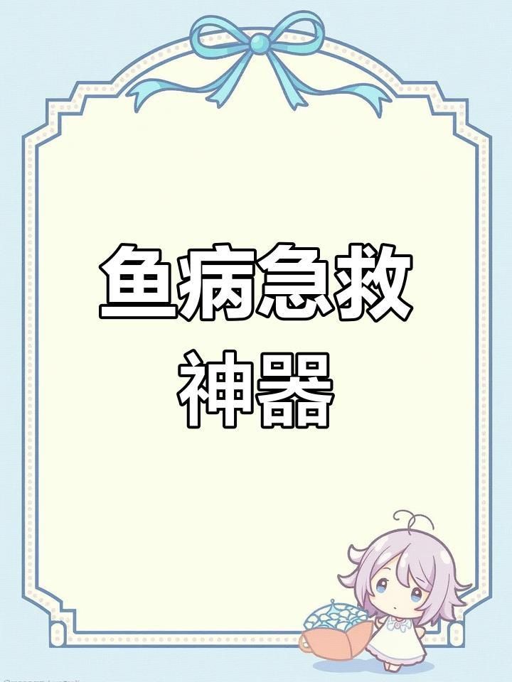 龍魚內寄和外寄可以同時治療嗎？