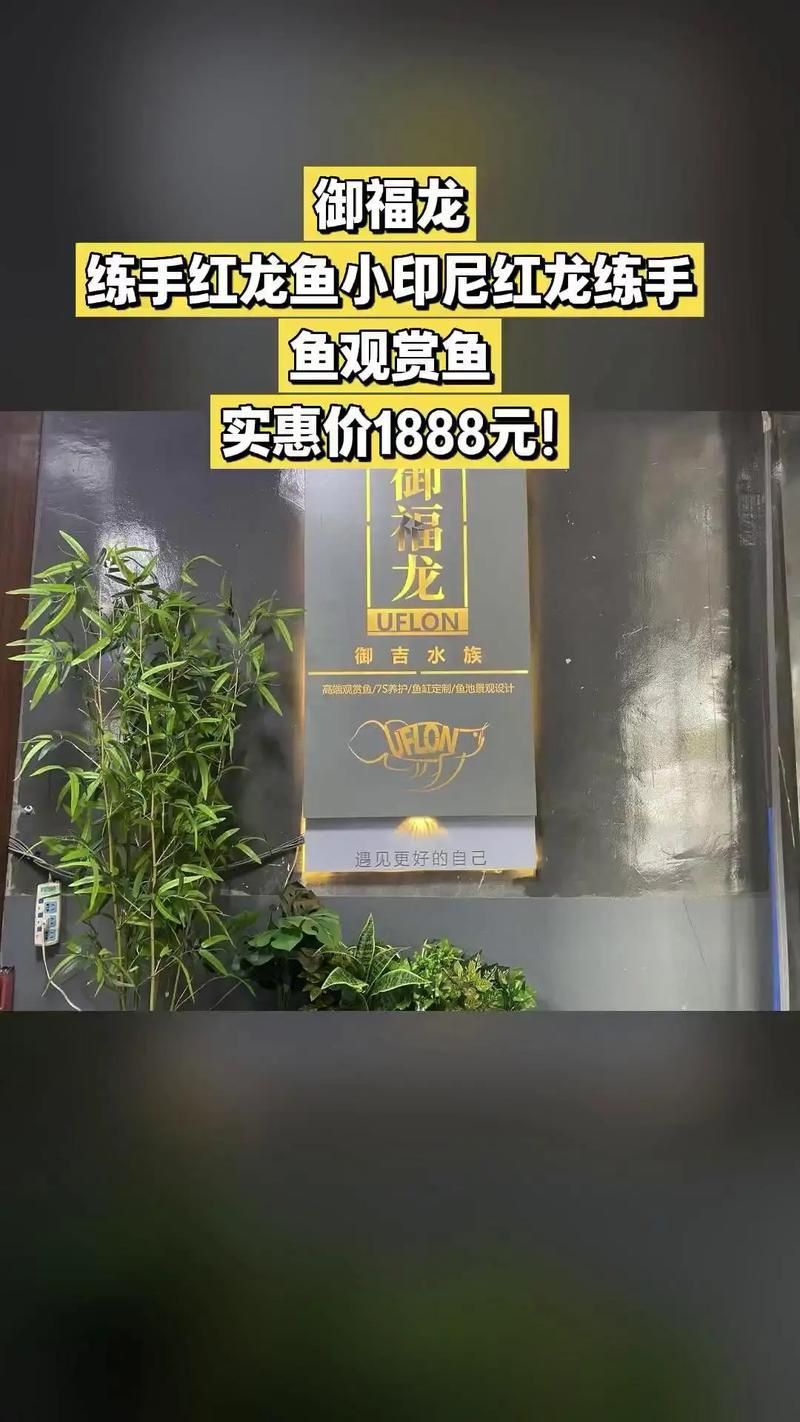 紅龍魚品牌大全圖