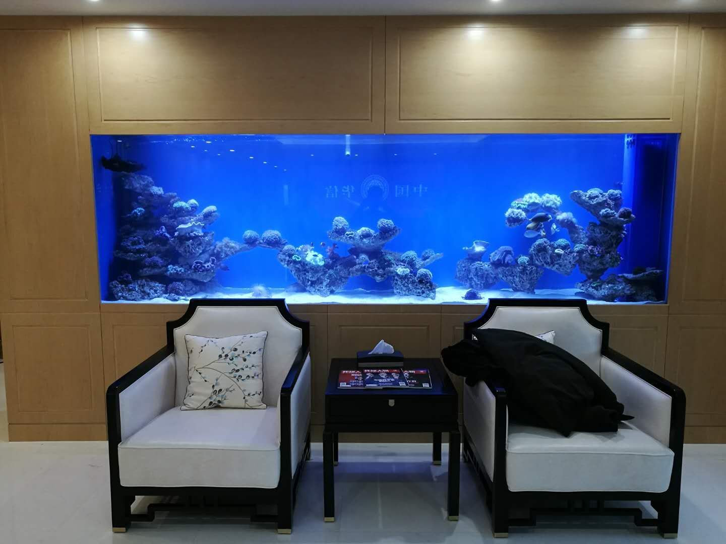 魚缸圖片效果圖視頻欣賞（家庭魚缸設計風格指南）