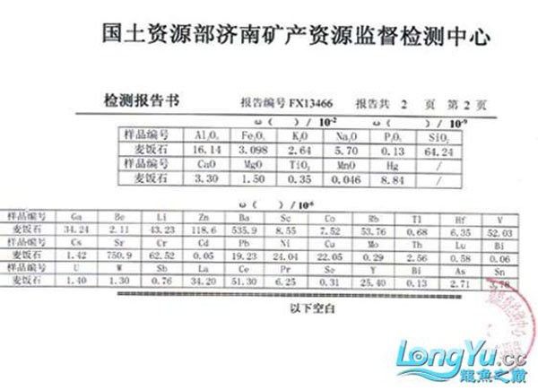 養金龍魚可以放麥飯石嗎