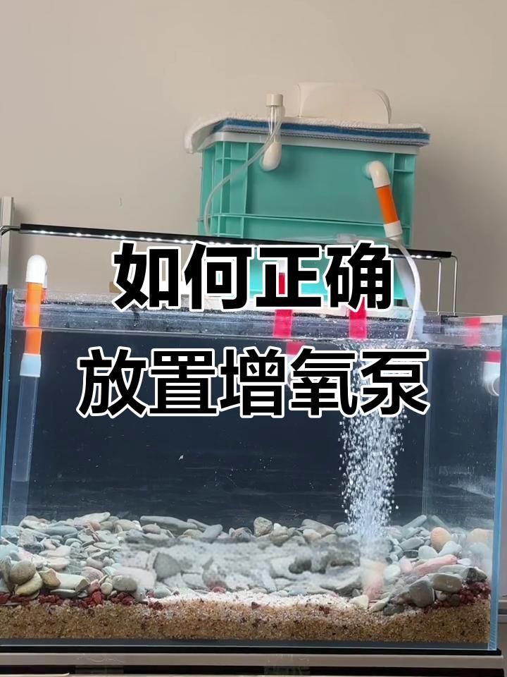 買增氧泵的10大忠告