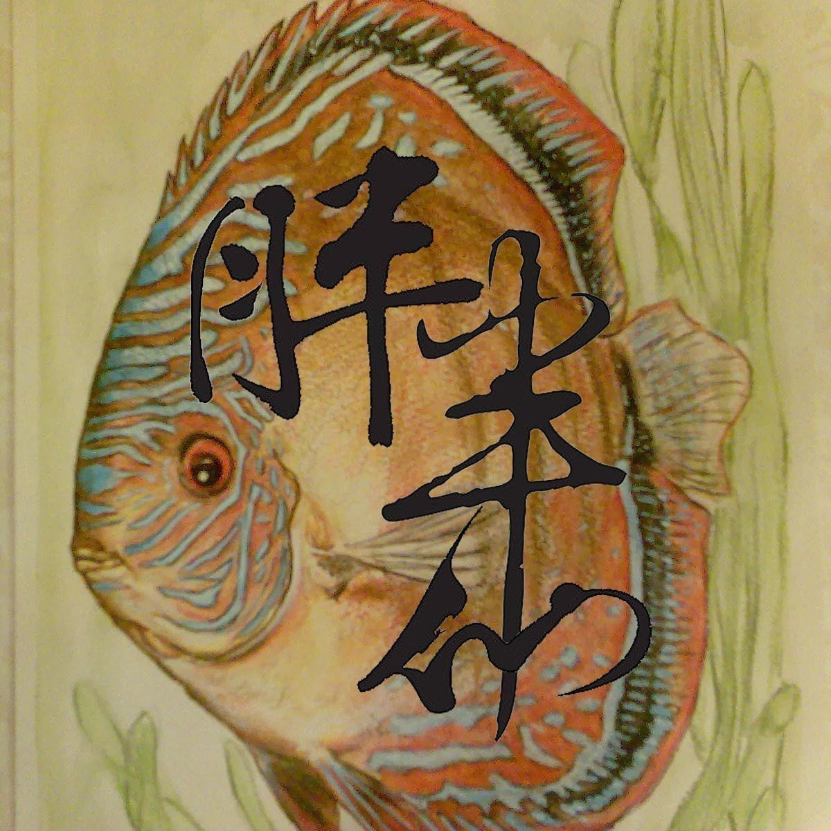 龍魚外寄生蟲怎么治療