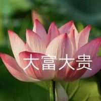 龍魚外寄生蟲怎么治療