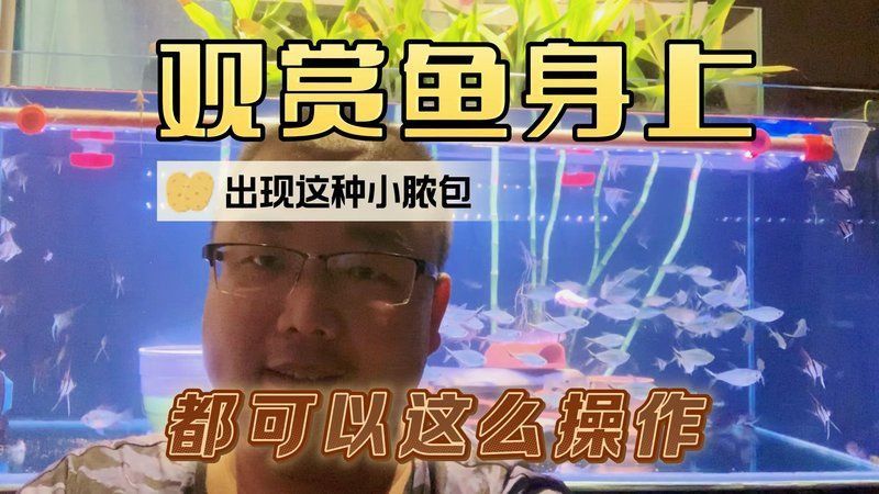 龍魚外寄生蟲怎么治療