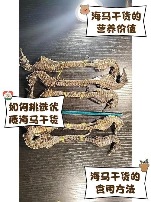 給我一些辨別真假小海龍魚干的圖片示例