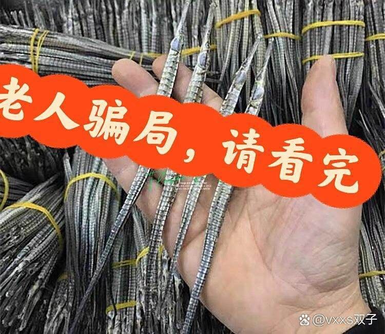 給我一些辨別真假小海龍魚干的圖片示例