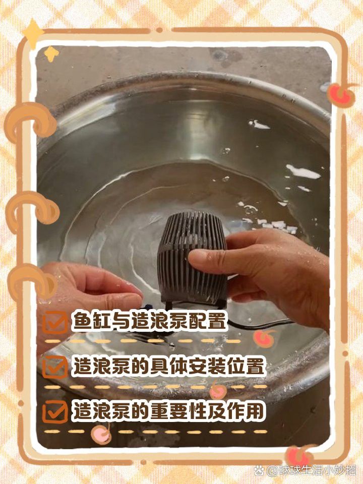 西龍魚缸水泵是不是放在水里