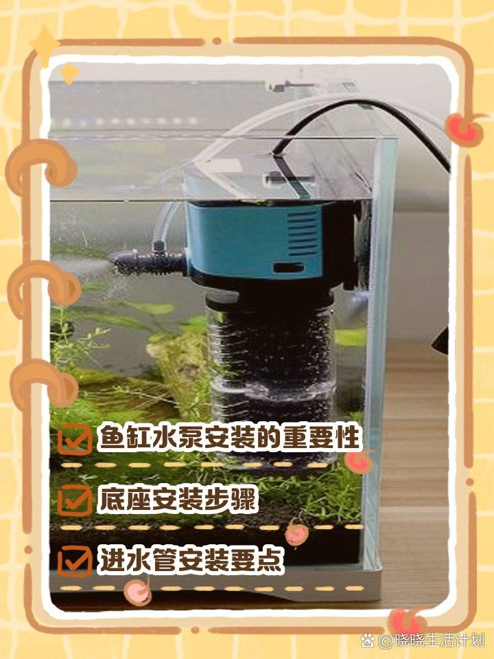 西龍魚缸水泵是不是放在水里