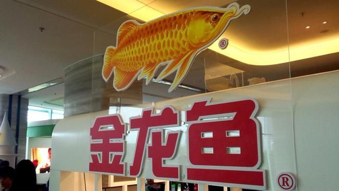 金龍魚 品客，金龍魚品客是什么品牌？
