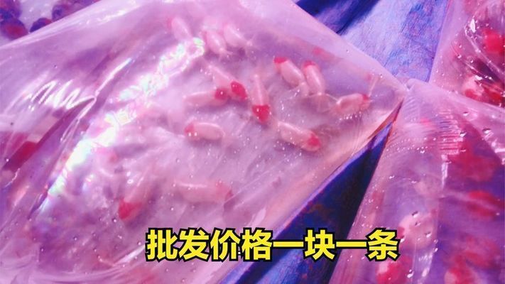奈及利亞觀賞魚市場行情，利亞觀賞魚市場分析