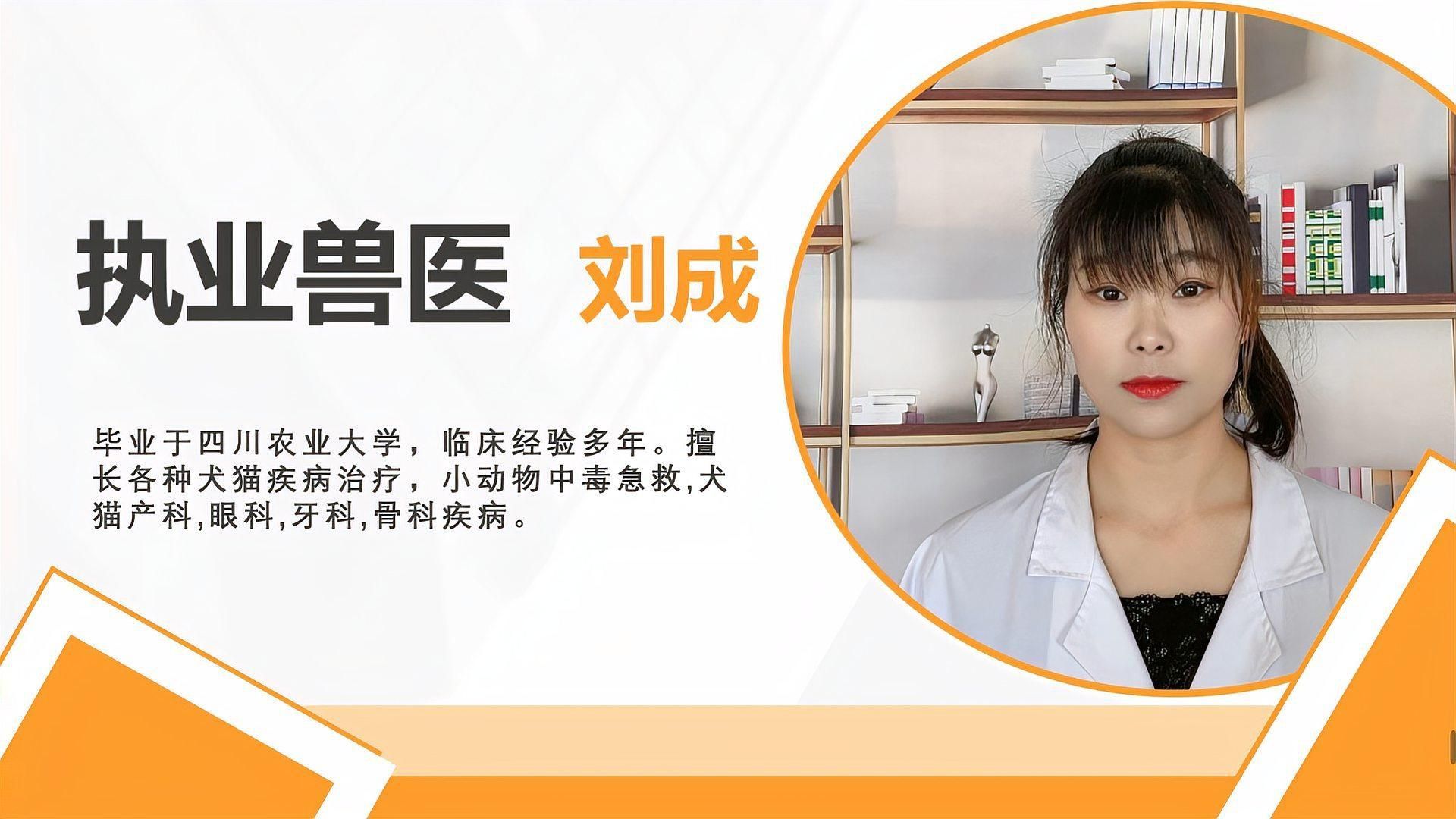 錦鯉趴缸底會持續多久？