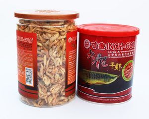 龍魚能吃蝦米嗎：龍魚可以吃蝦米嗎