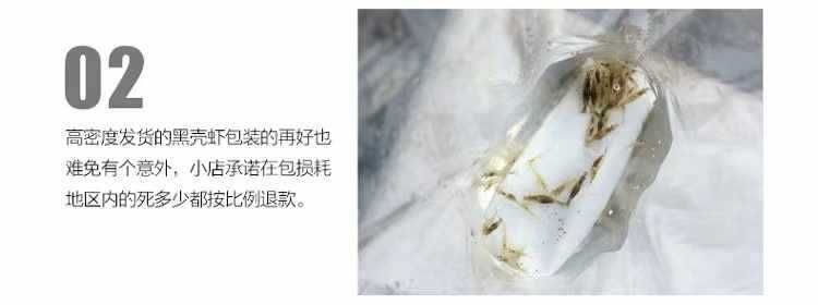 龍魚能吃蝦米嗎：龍魚可以吃蝦米嗎