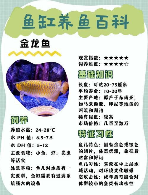 金龍魚漁業產品有哪些？