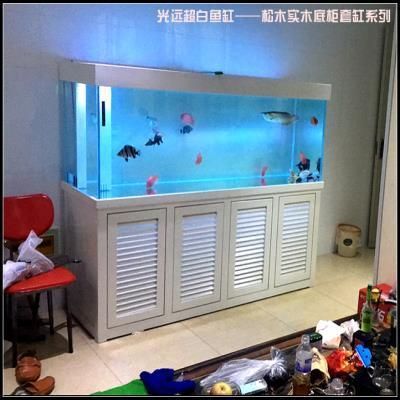 龍魚的缸要多大的水養：龍魚的缸要多大的水養,
