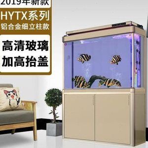 龍魚的缸要多大的水養：龍魚的缸要多大的水養,