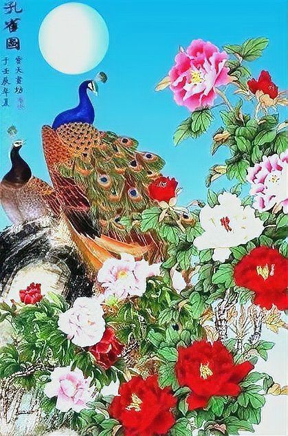 孔雀是招鬼還是招財 龍魚百科 第8張 孔雀是招鬼還是招財 孔雀是招鬼還是招財 龍魚百科 第8張
