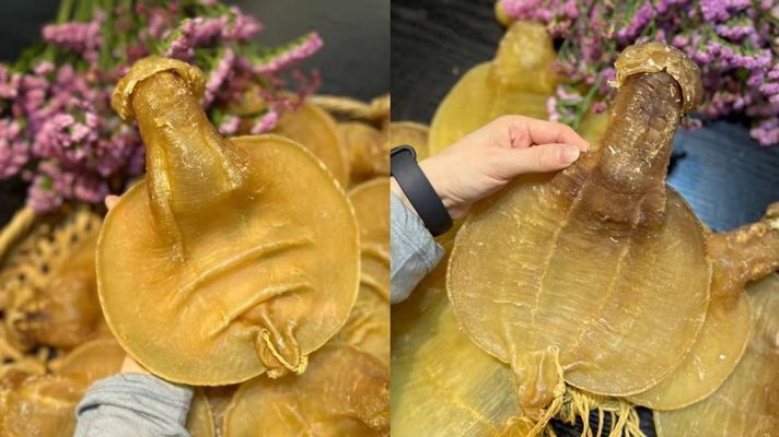 金龍魚膠腥嗎怎么吃（去除金龍魚膠的腥味可以通過以下幾種方法去除金龍魚膠的腥味）
