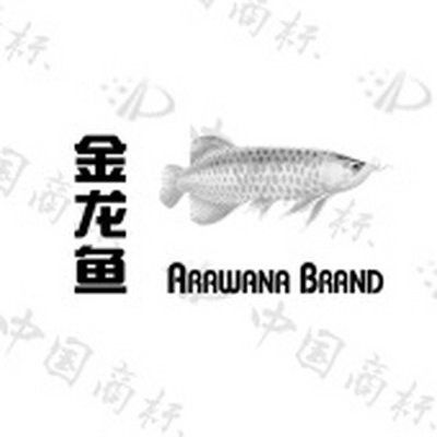 金龍魚英文商標(biāo)
