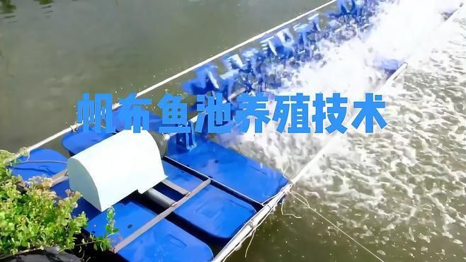 養(yǎng)魚帆布池的十大忠告 養(yǎng)魚帆布池的十大忠告 龍魚百科 第3張