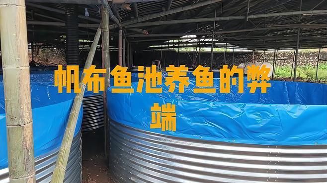 養(yǎng)魚帆布池的十大忠告 養(yǎng)魚帆布池的十大忠告 龍魚百科 第2張