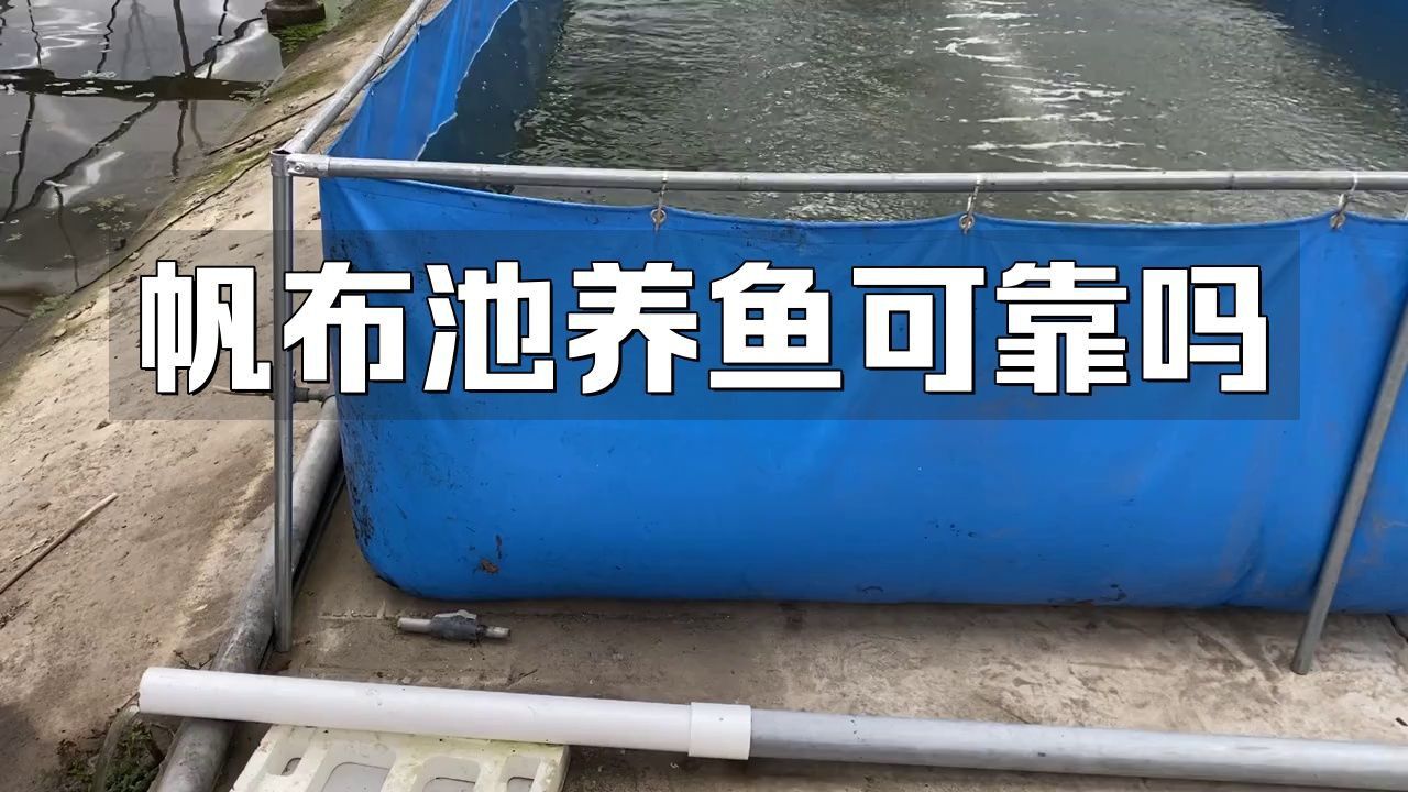 養(yǎng)魚帆布池的十大忠告 養(yǎng)魚帆布池的十大忠告 龍魚百科 第4張