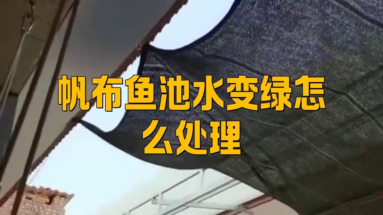 養(yǎng)魚帆布池的十大忠告 養(yǎng)魚帆布池的十大忠告 龍魚百科 第6張