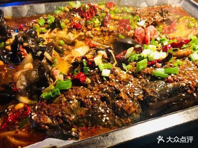 巴龍魚(yú)是什么魚(yú)：關(guān)于巴龍魚(yú)的問(wèn)題
