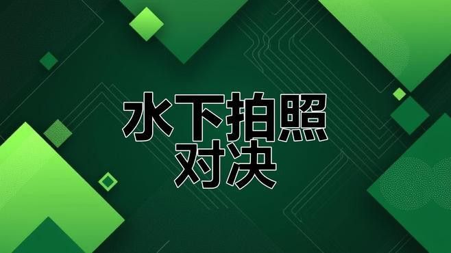 如何選擇適合拍攝小龍魚的相機？ 如何選擇適合拍攝小龍魚的相機？ 龍魚百科 第8張