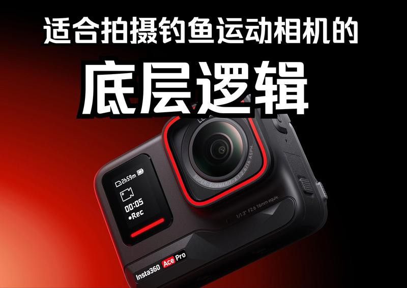 如何選擇適合拍攝小龍魚的相機？ 如何選擇適合拍攝小龍魚的相機？ 龍魚百科 第14張