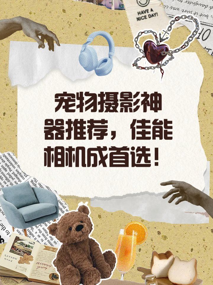 如何選擇適合拍攝小龍魚的相機？ 如何選擇適合拍攝小龍魚的相機？ 龍魚百科 第15張