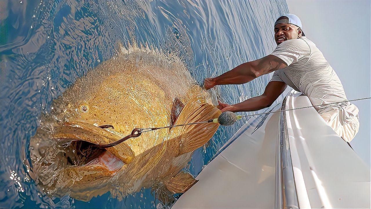 龍躉魚的最佳烹飪方法是什么？