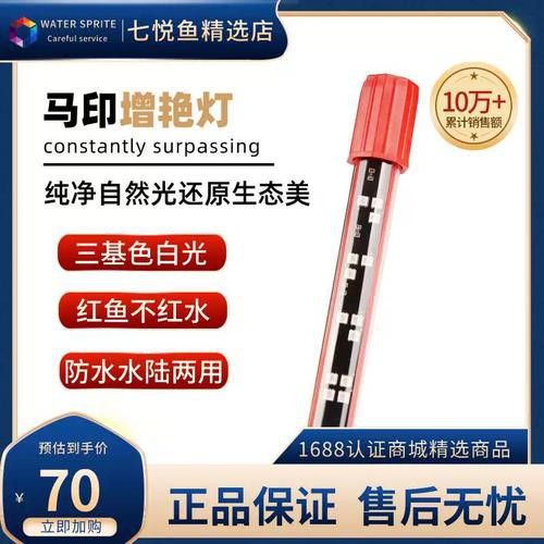 紅龍魚燈光位置示意圖片