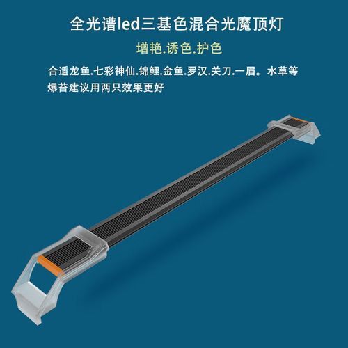 紅龍魚燈光位置示意圖片